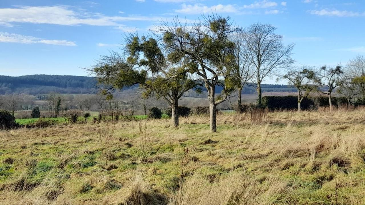 Gite Cottage Chaleureux En Pleine Campagne Vue Sur Les Monts Et Forets Et Le Chateau De Carrouges Dış mekan fotoğraf